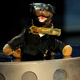 Illustration for article titled Triumph The Insult Comic Dog to poop on Jack McBrayer for Adult Swim